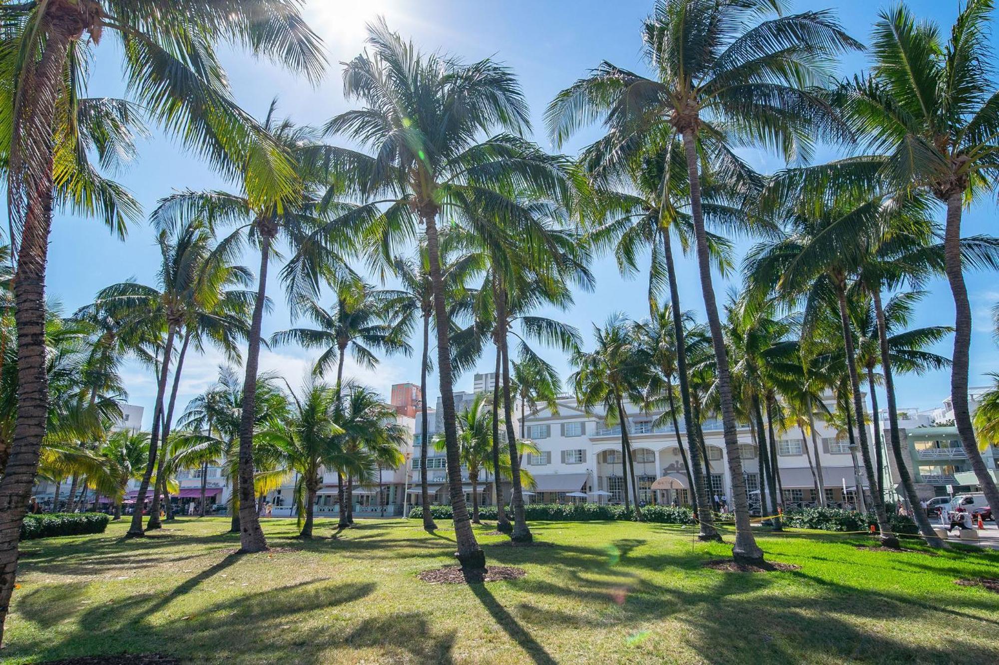 Chic Large Studio Apt Near Ocean Drive South Beach Miami Beach Exterior foto